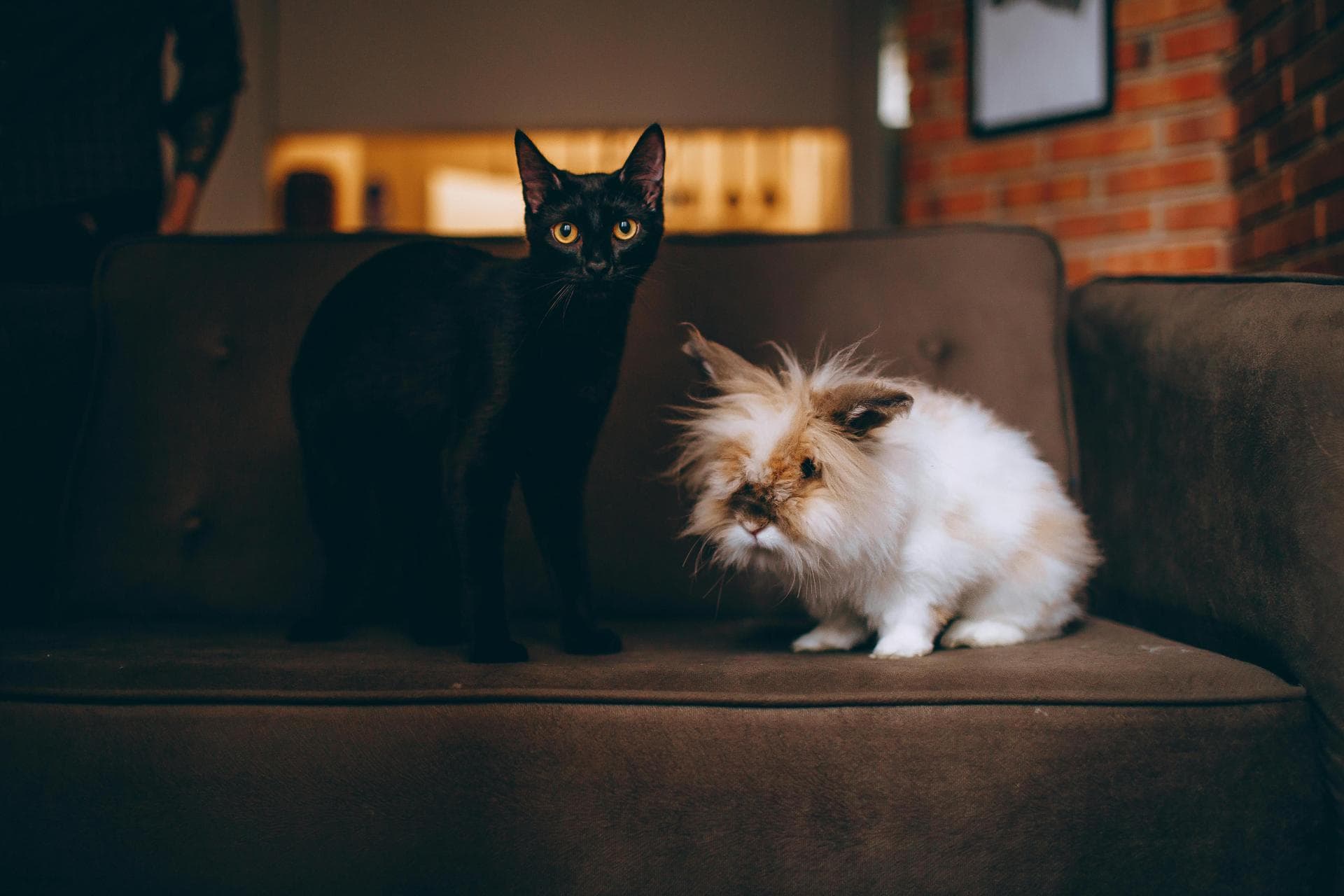 Best Vets in Gloucester